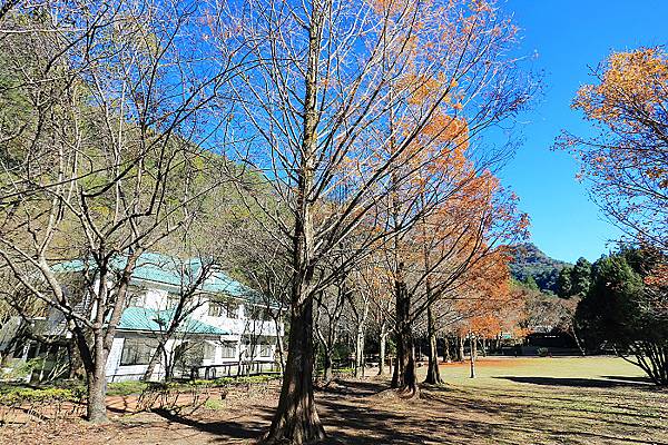 IMG_0340.jpg IMG_0340.jpg