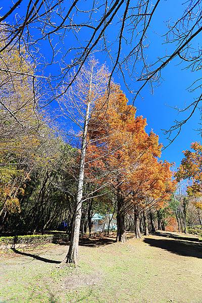 IMG_0338.jpg IMG_0338.jpg