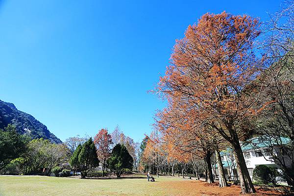 IMG_0343.jpg IMG_0343.jpg