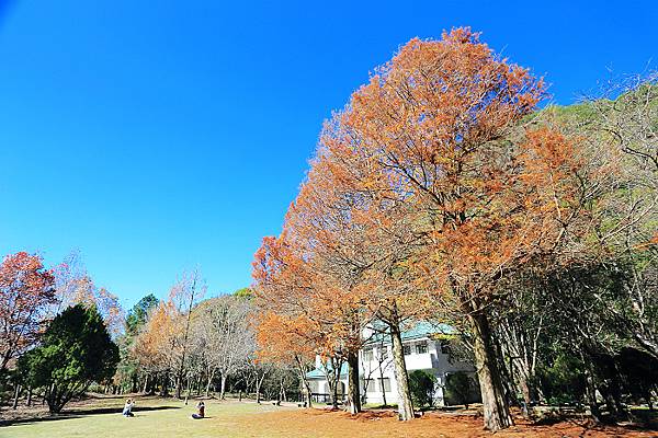 IMG_0342.jpg IMG_0342.jpg