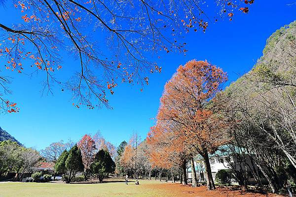 IMG_0344.jpg IMG_0344.jpg