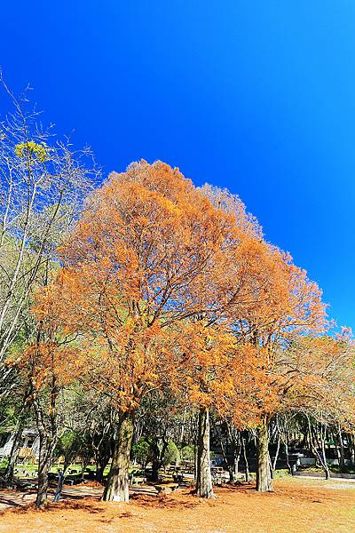 IMG_0341.jpg IMG_0341.jpg