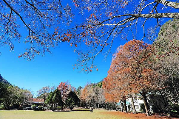 IMG_0345.jpg IMG_0345.jpg