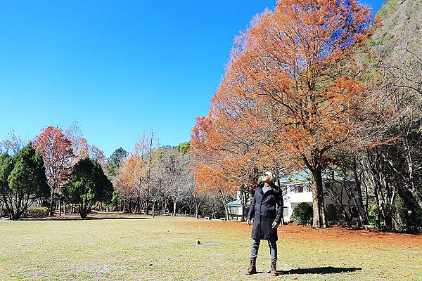 IMG_0347.jpg IMG_0347.jpg