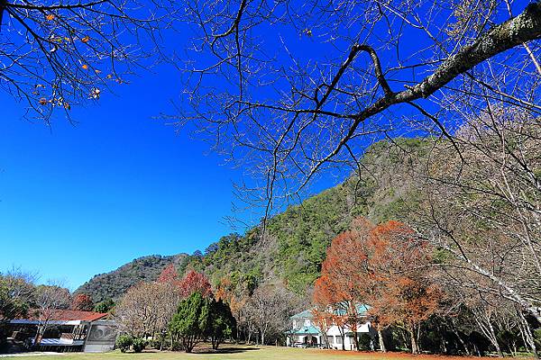 IMG_0348.jpg IMG_0348.jpg