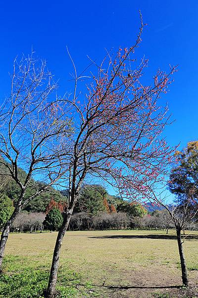 IMG_0350.jpg IMG_0350.jpg