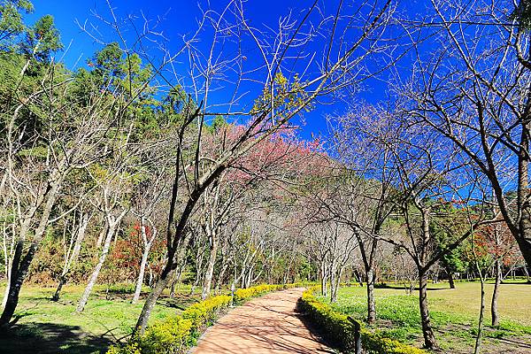 IMG_0351.jpg IMG_0351.jpg