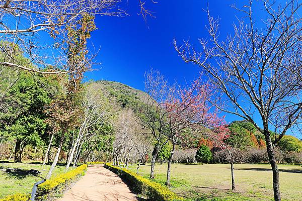 IMG_0349.jpg IMG_0349.jpg