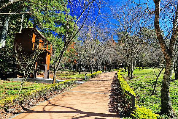 IMG_0352.jpg IMG_0352.jpg