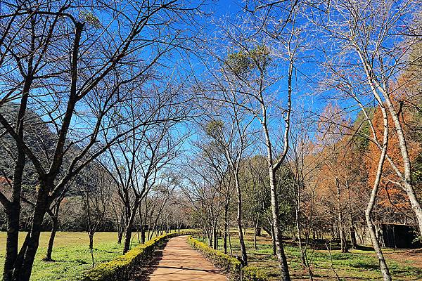 IMG_0355.jpg IMG_0355.jpg