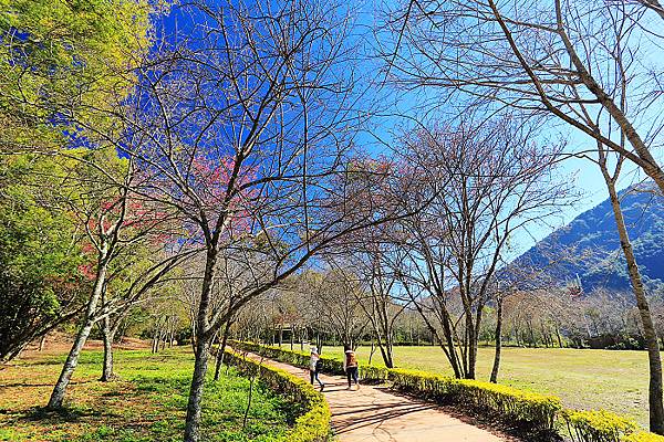 IMG_0354.jpg IMG_0354.jpg