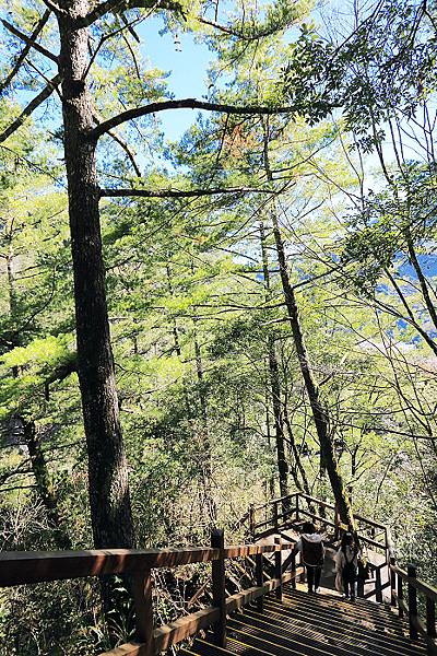 IMG_0359.jpg IMG_0359.jpg