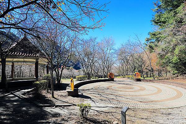 IMG_0356.jpg IMG_0356.jpg