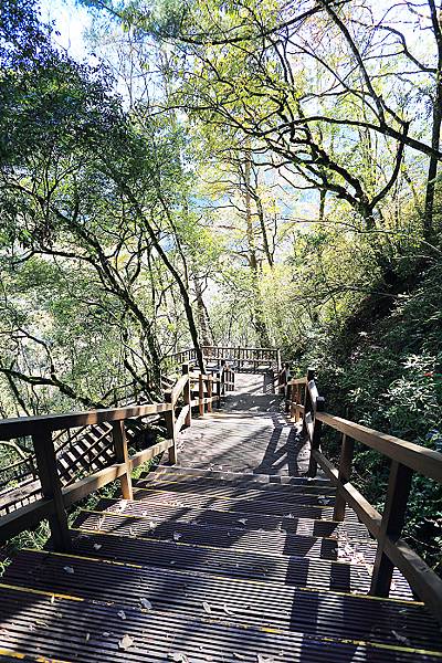 IMG_0357.jpg IMG_0357.jpg