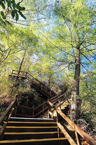 IMG_0360.jpg IMG_0360.jpg