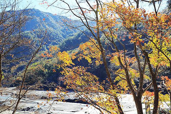 IMG_0361.jpg IMG_0361.jpg