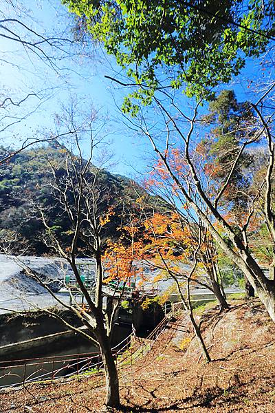 IMG_0362.jpg IMG_0362.jpg