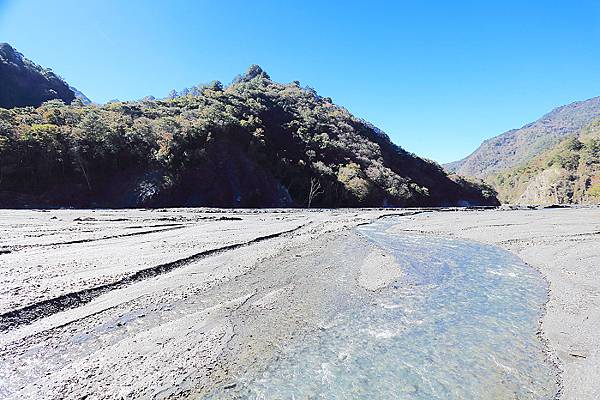 IMG_0365.jpg IMG_0365.jpg