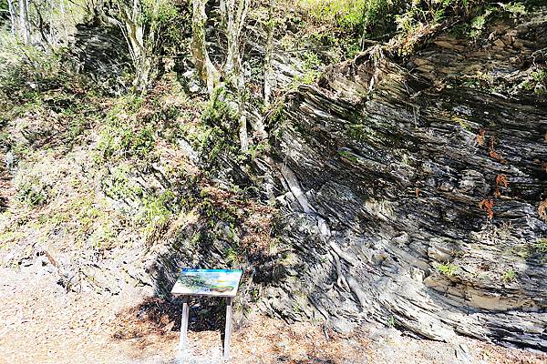 IMG_0364.jpg IMG_0364.jpg