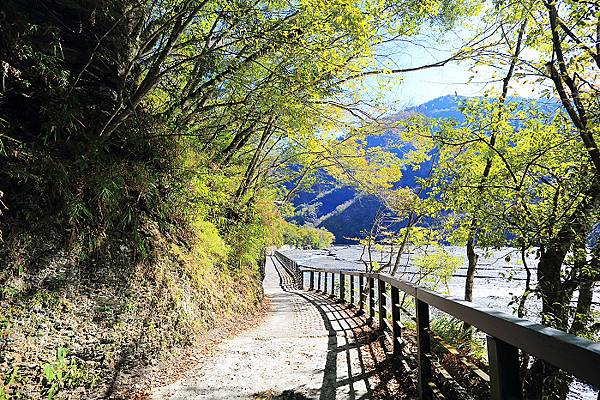 IMG_0363.jpg IMG_0363.jpg