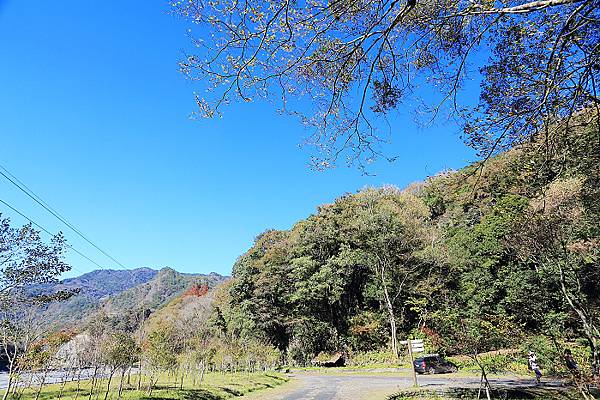 IMG_0366.jpg IMG_0366.jpg