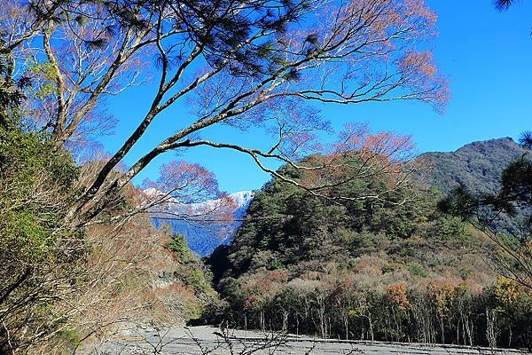 IMG_0370.jpg IMG_0370.jpg