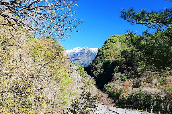 IMG_0372.jpg IMG_0372.jpg