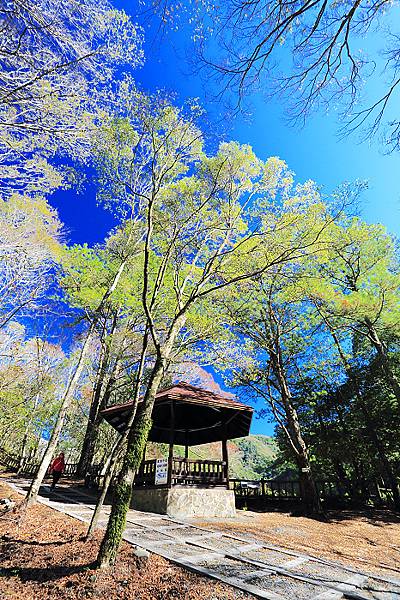 IMG_0368.jpg IMG_0368.jpg