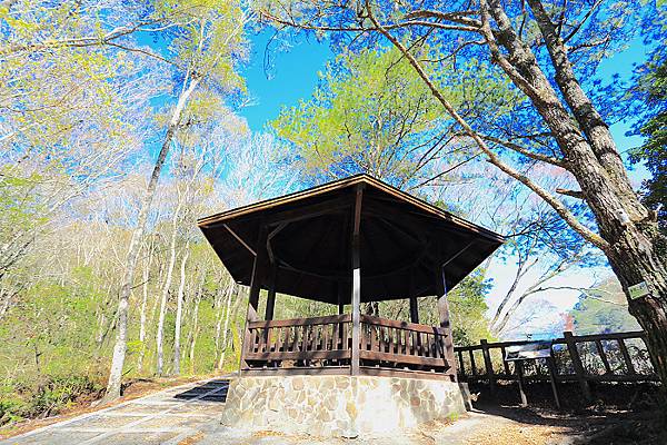 IMG_0369.jpg IMG_0369.jpg