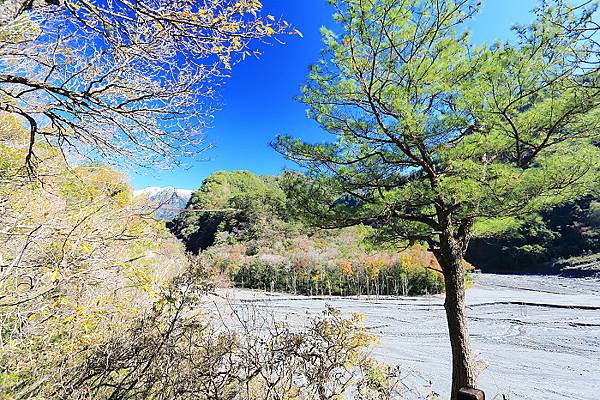 IMG_0374.jpg IMG_0374.jpg