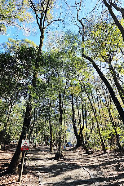 IMG_0376.jpg IMG_0376.jpg