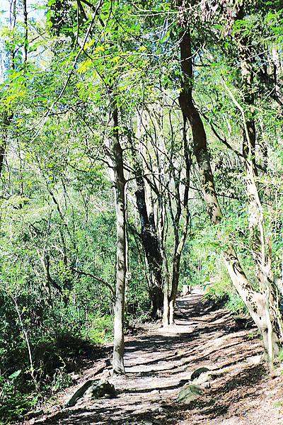 IMG_0379.jpg IMG_0379.jpg