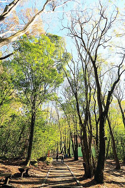 IMG_0377.jpg IMG_0377.jpg