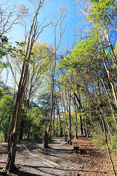 IMG_0382.jpg IMG_0382.jpg