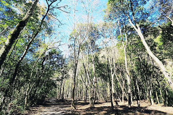 IMG_0381.jpg IMG_0381.jpg