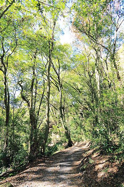 IMG_0378.jpg IMG_0378.jpg