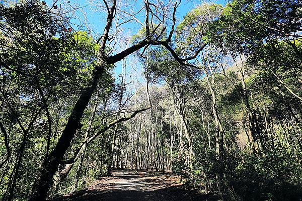 IMG_0380.jpg IMG_0380.jpg