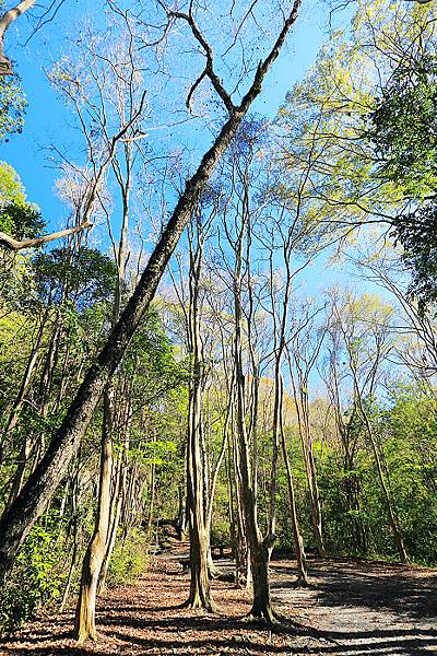 IMG_0384.jpg IMG_0384.jpg