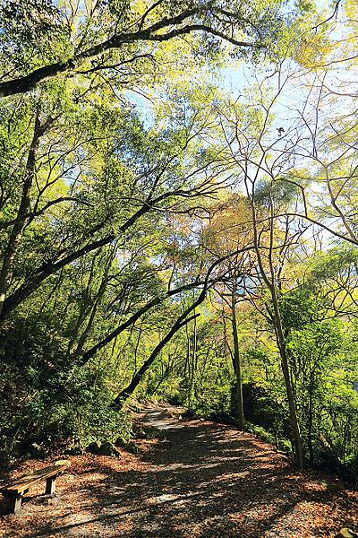 IMG_0385.jpg IMG_0385.jpg