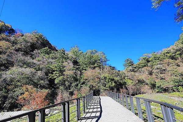 IMG_0386.jpg IMG_0386.jpg