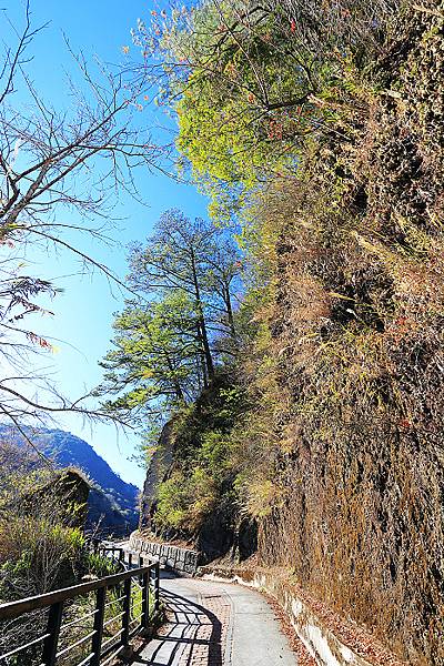 IMG_0388.jpg IMG_0388.jpg