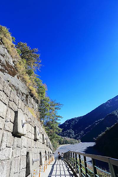 IMG_0392.jpg IMG_0392.jpg