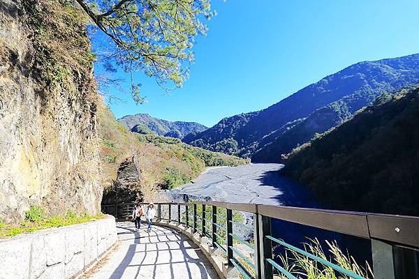 IMG_0391.jpg IMG_0391.jpg