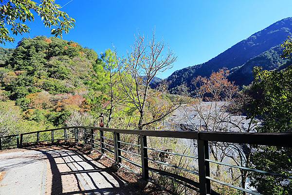 IMG_0387.jpg IMG_0387.jpg