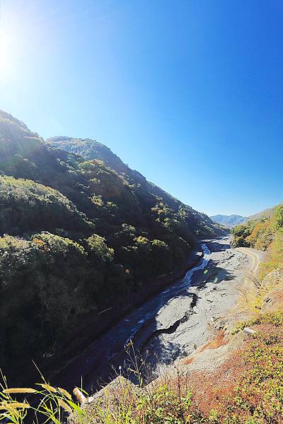 IMG_0390.jpg IMG_0390.jpg