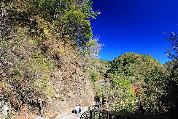 IMG_0389.jpg IMG_0389.jpg