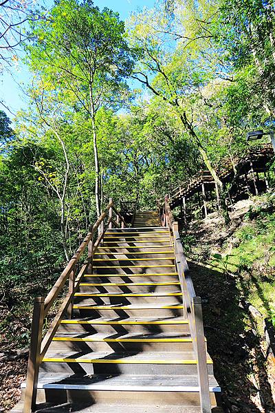 IMG_0395.jpg IMG_0395.jpg