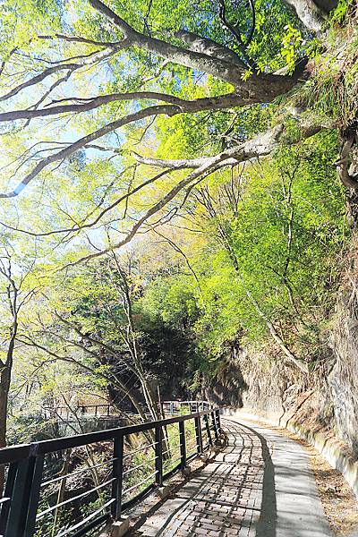 IMG_0394.jpg IMG_0394.jpg