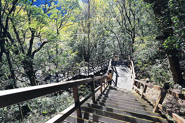 IMG_0396.jpg IMG_0396.jpg