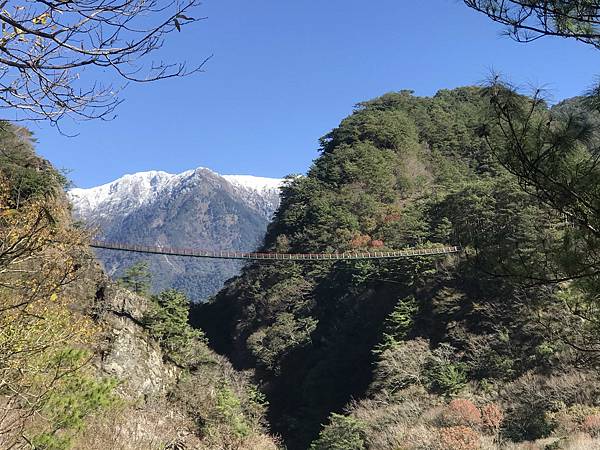 IMG_1759.jpeg IMG_1759.jpeg